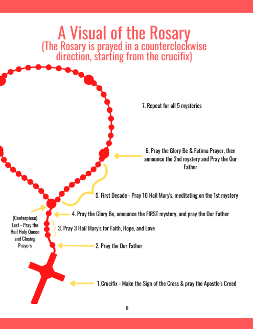 Praying the Rosary: History, Visual Guide, Prayers (Catholic Learning Book)